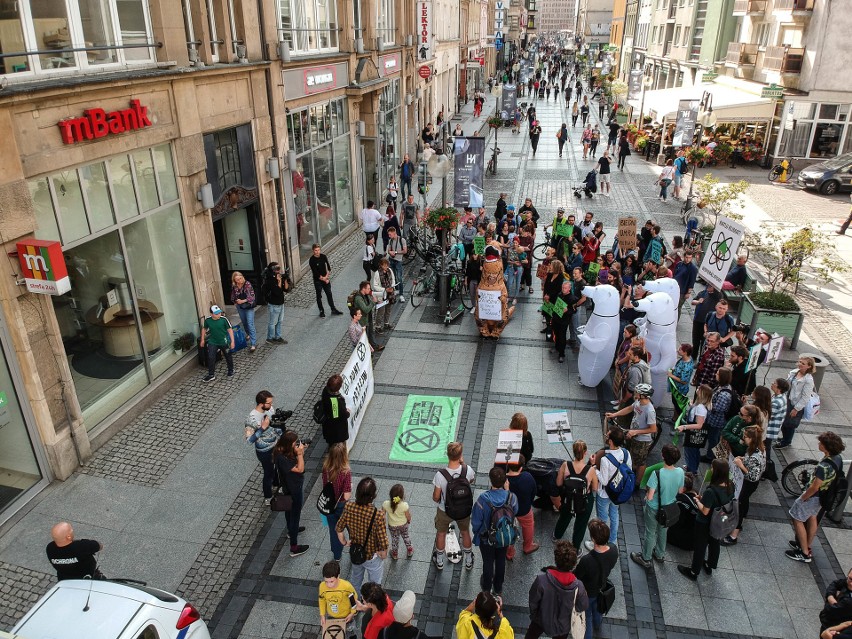 "Masowo wymierali” w centrum miasta. Dlaczego protestowali? 