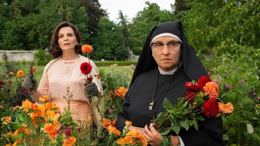 Kieleckie kino Moskwa zaprasza na  filmy „Włoskie wakacje”, „Babyteeth”, „Scooby-Doo!”, „SamSam”, „Jak być dobrą żoną”