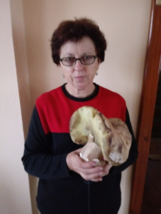 W naszej skrzynce pocztowej znaleźliśmy zdjęcia od pani Barbary z Raniżowa w pow. kolbuszowskim. - Przesyłam zdjęcie mojej mamy Elżbiety oraz prawdziwka jakiego dziś znalazła - napisała. Znalezisko waży 1 kg 15 dag.