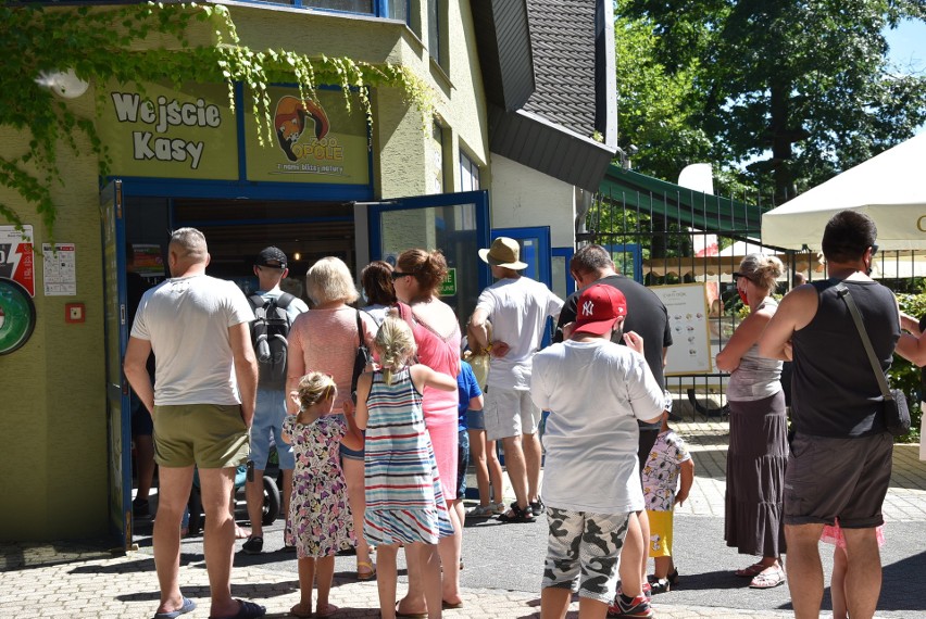 Największą popularnością w trakcie weekendu darmowych...