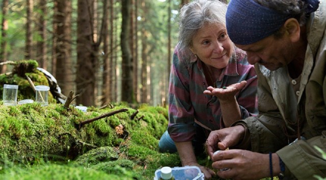 Film &quot;Pokot&quot; Agnieszki Holland. Kiedy trafi do polskich kin?