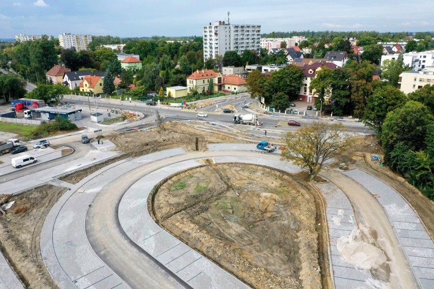 Drzewo na parkingu przy Opolu Zachodnim - stan na drugą...