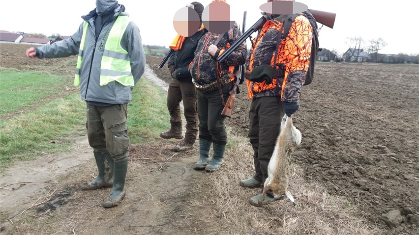 Groźne sceny na polowaniu pod Krakowem. Ekolodzy zwarli się z myśliwymi [ZDJĘCIA, WIDEO]