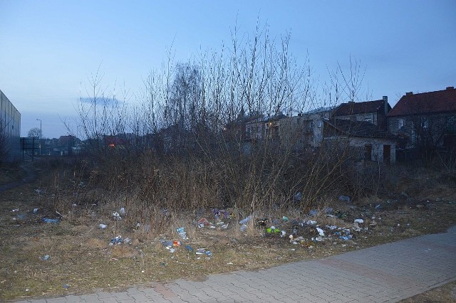 Takich miejsc, gdzie śmieci ścielą się jak dywan w mieście jest niestety sporo. Na zdjęciu - teren koło cmentarza przy ulicy Iłżeckiej. 