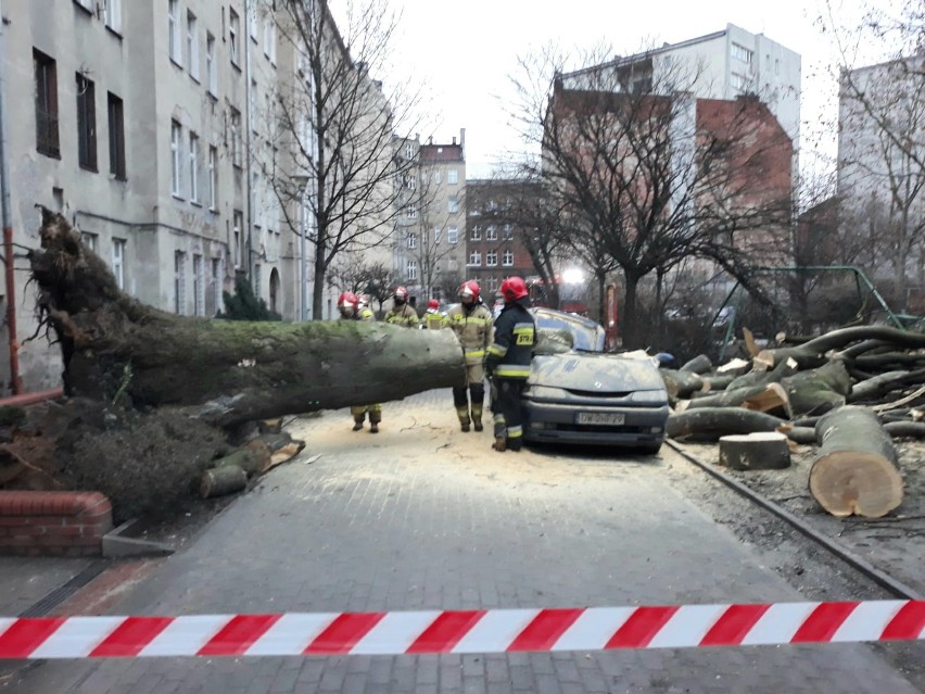 20-metrowe drzewo przewróciło się w podwórku przy ul....