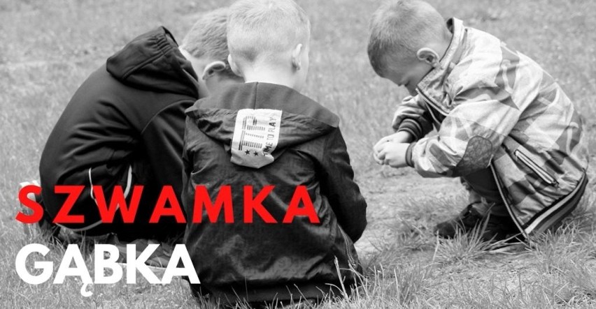 Już prawie nikt tak nie mówi. Znasz te słowa? Takich regionalizmów używano w Kujawsko-Pomorskiem