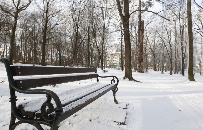 Park i dworek Chłapowskich na osiedlu Słocina w Rzeszowie.