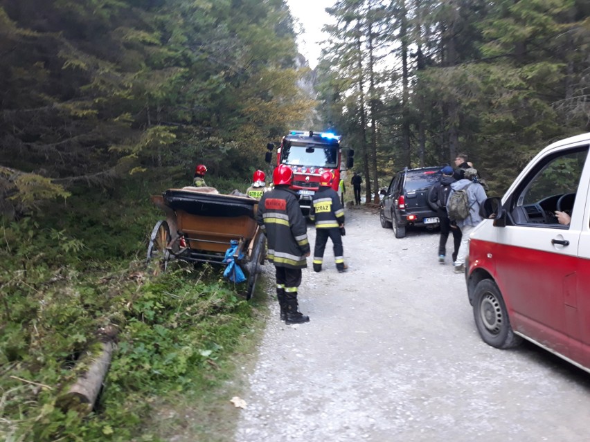 Tatry. Policja bada wypadek dorożki w Dolinie Kościeliskiej [ZDJĘCIA]