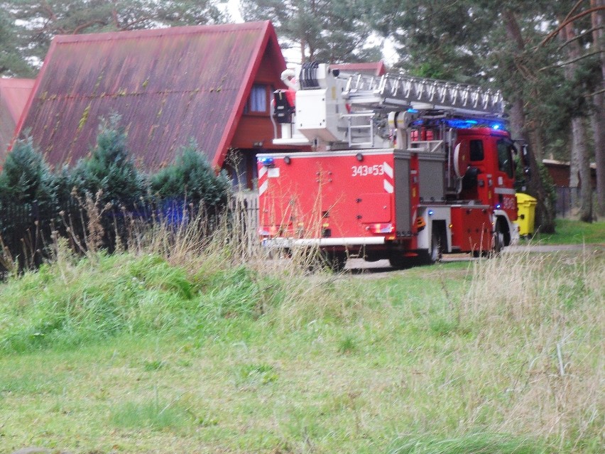 W Rowach strażacy usuwali drzewo, które wichura przewróciła na domek letniskowy