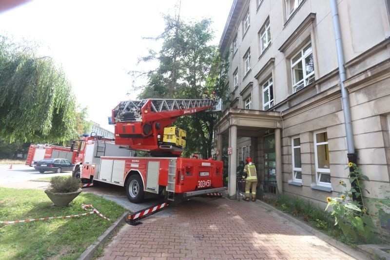 Drzewo pochyliło się nad szpitalem Pirogowa. Mogło wybić szyby w oknach! ZDJĘCIA