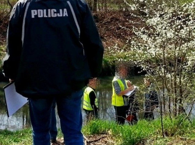 W czwartek przed godz. 17 policjanci z Wydziału Kryminalnego KMP w Gliwicach wytypowali i zatrzymali 57-letniego gliwiczanina, który ma  związek ze sprawą makabrycznego znaleziska - walizki ze zwłokami 77-letniego gliwiczanina wyłowionej 4 kwietnia z rzeki Kłodnicy.