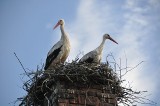 Podlasie, Suwalszczyzna, Warmia i Mazury. Turystyka oczami mieszkańców regionu