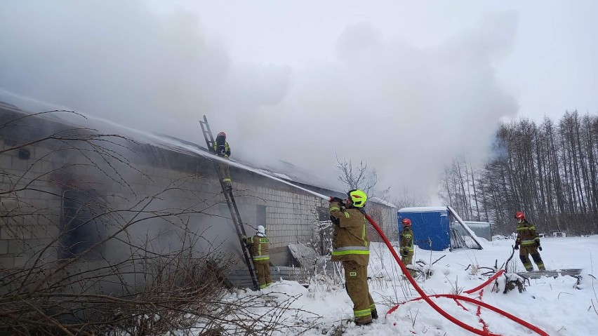 Strażacy gasili w sobotę 2 kwietnia pożar w Olszanach w...