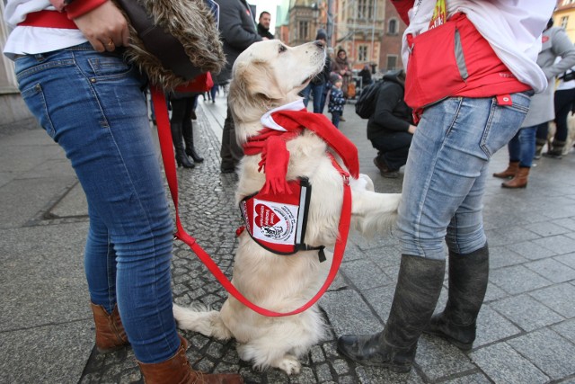 Goldeny we Wrocławiu po raz szósty wspomogą WOŚP