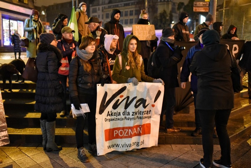 Pierwszy strajk dla Ziemi odbył się w Poznaniu