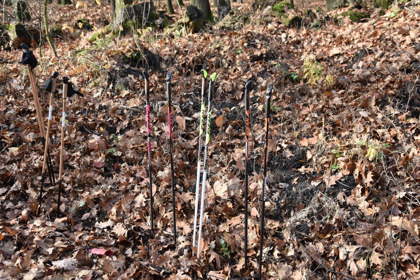 Bieg Leśna Kurka w Rybniku 2019: Biegną z psami, idą z...