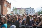 Tydzień ZMT w Tarnowie. Tłumy na finałowym koncercie na Rynku [ZDJĘCIA]