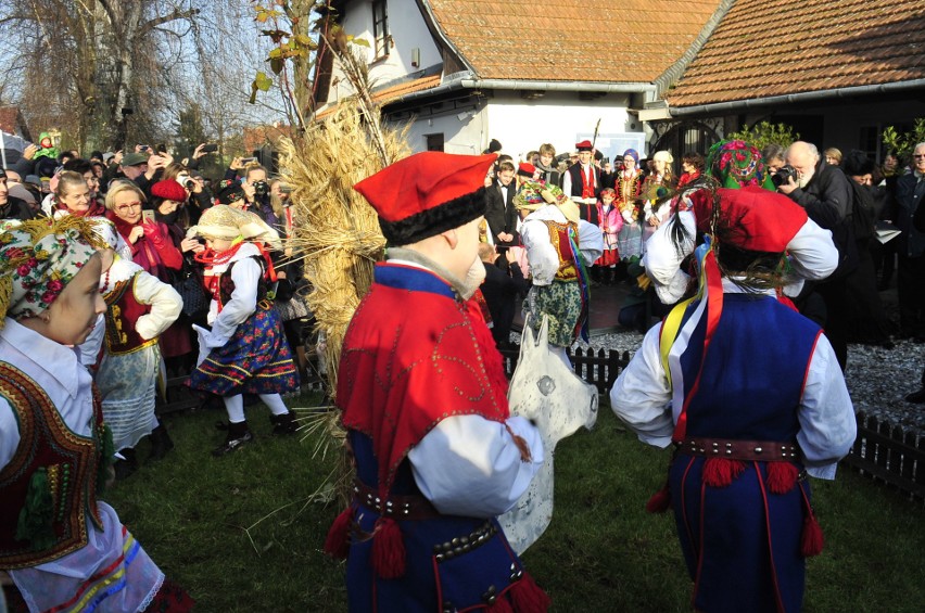 Kraków. W Bronowicach osadzono chochoła [ZDJĘCIA, WIDEO]