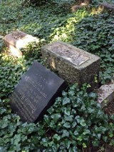 RPO interweniuje w sprawie niszczonych cmentarzy żydowskich na Śląsku. Nieznani sprawcy zdewastowali kirkuty w m.in. w Zabrzu i Pszczynie