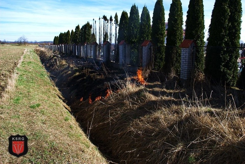 Powiat oświęcimski. Przez pożar traw ogień zagroził cmentarzowi