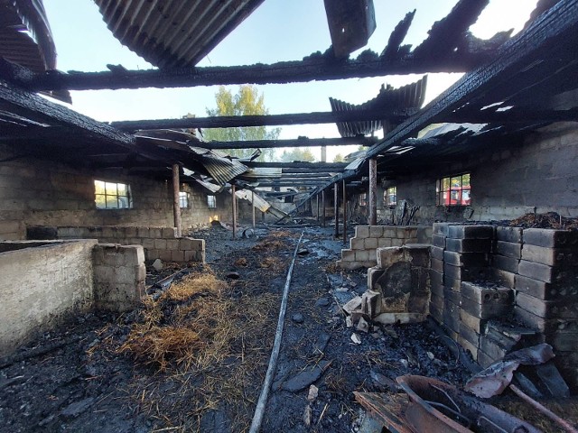 Palił się budynek gospodarczy w Kobylnicy.