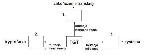 Matura 2016: BIOLOGIA rozszerzona [ODPOWIEDZI, ARKUSZ CKE]