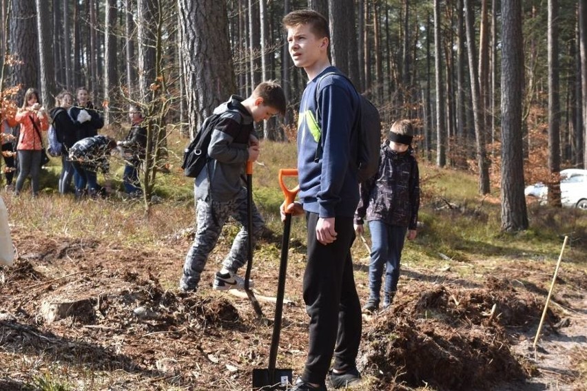 Akcja Sadzimy Las dla Niepodległej w Orlu