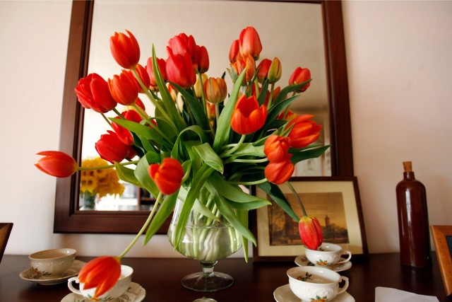 Świeże kwiaty w wazonie to najpiękniejsza dekoracja - zdobią i ożywiają wnętrza, poprawiają nastrój, zachwycają kolorem i zapachem.Istnieje kilka prostych trików, które warto zastosować, by przedłużyć trwałość świeżych kwiatów w wazonie. Wypróbuj te sposoby na przedłużenie trwałości kwiatów ciętych w swoim domu.Oto metody polecane przez florystów oraz ogrodników! Zobacz sprawdzone sposoby na przedłużenie trwałości kwiatów ciętych w naszej galerii >>>>>
