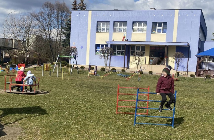 Przedszkole numer 12 w Tarnobrzegu walczy w konkursie "Ogródki ze smakiem" i prosi o głosy. Jak można pomóc?