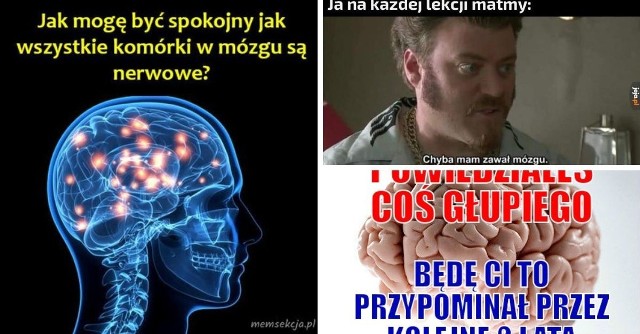 Najlepsze MEMY na Europejski Dzień Mózgu >>>