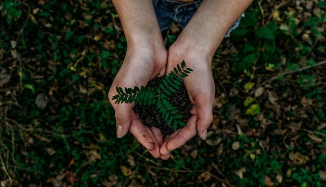 Rządy podczas COP26 podejmują coraz bardziej zdecydowane działania w celu ochrony klimatu