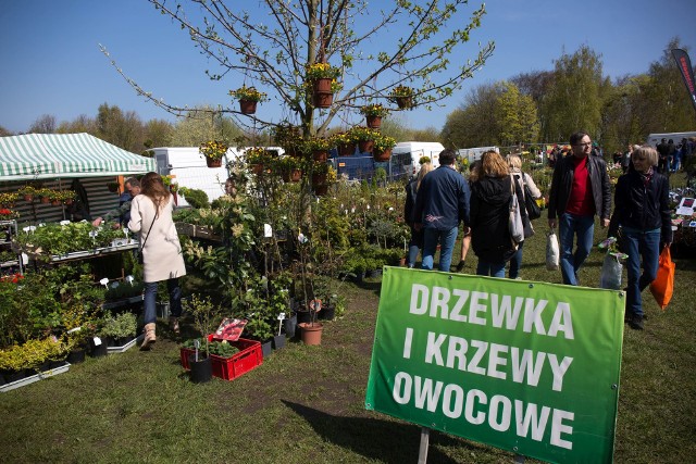 Niektóre prace w ogrodzie powinny być wykonywane tylko wczesną wiosnąZwiększony ruch na stoiskach ogrodniczych to wyraźny znak nadciągającej wiosny.