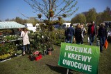 Jak przygotować ogród na wiosnę?