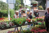 Lato Kwiatów w Otmuchowie 2022. Setki wystawców, tłumy odwiedzających. To wielkie święto miłośników roślin i ogrodów