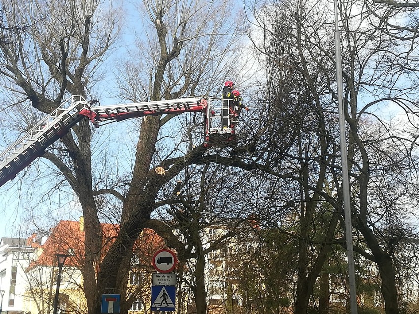 Silny wiatr w regionie. Utrudnienia na drogach i brak prądu [RAPORT]