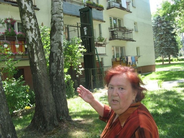 Czesława Grzybek: te drzewa obok naszego bloku nie dość, że się łamią, to jeszcze zasłaniają światło.