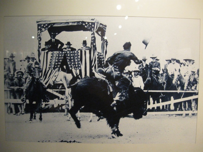 Prezydent Theodore Roosevelt ogląda ujeżdżanie byka podczas...