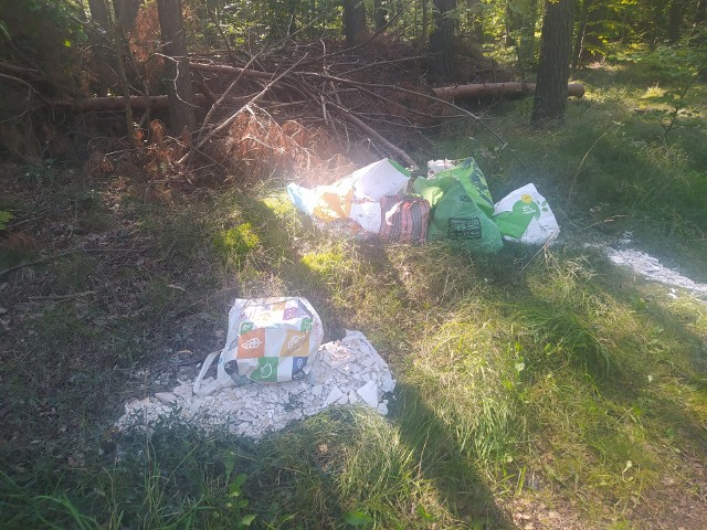 Taki śmietnik w lesie to niestety żadna nowość. W Nadleśnictwie Lipinki każdego roku jest wywożonych kilkadziesiąt ton śmieci.
