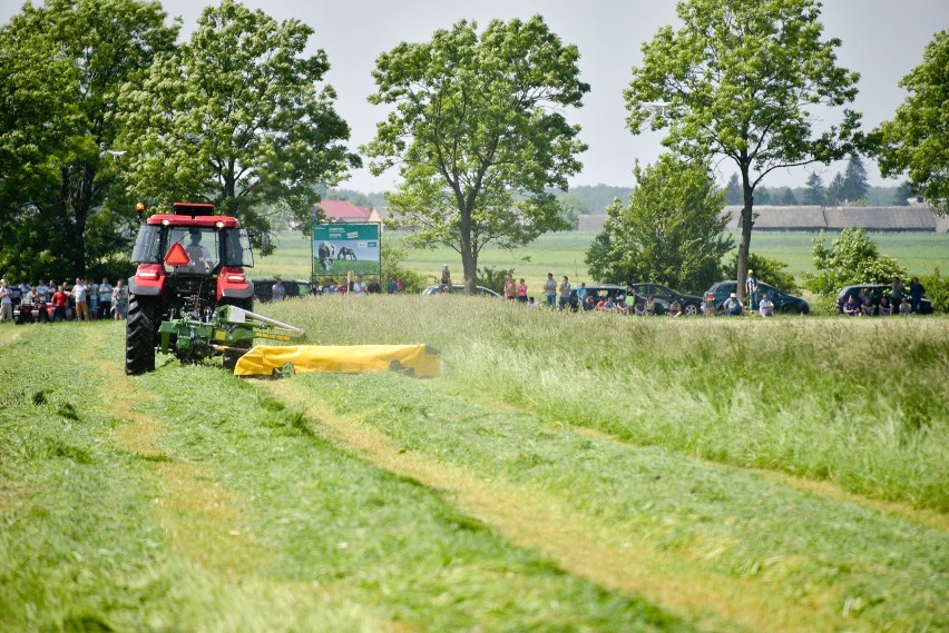 Potężne maszyny na łące, czyli pokazy Zielonej Gali