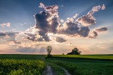 Piękny powiat świdnicki. Zobaczcie zdjęcia naszego Czytelnika