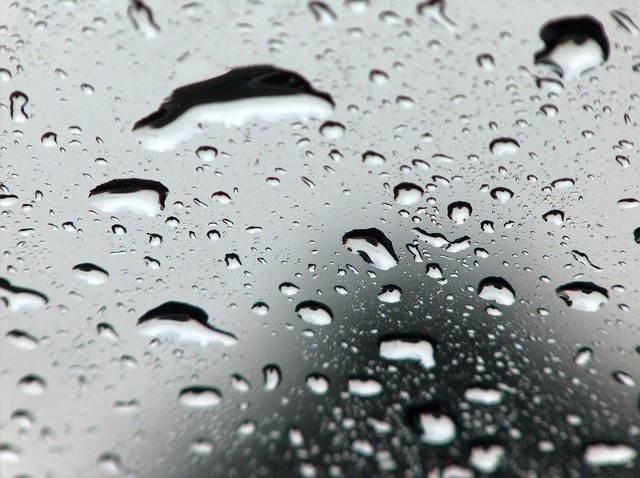Mieszkańcy Kujaw i Pomorza nie powinni ruszać się dziś z domu bez parasola