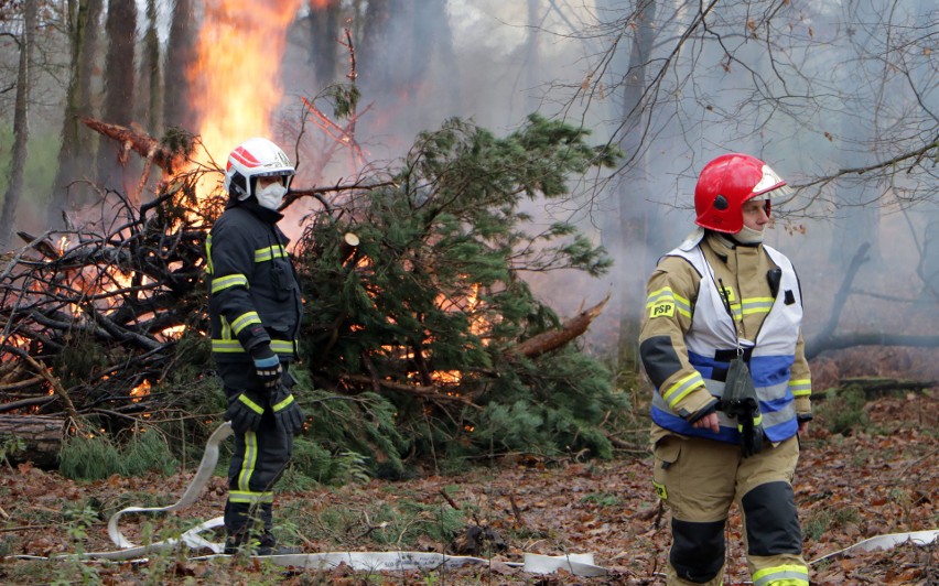 Ćwiczenia przeciwpożarowe strażaków PSP z Grudziądza i...