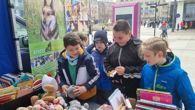 Organizatorzy zbierają od mieszkańców niepotrzebne zabawki, książki, gry, czy puzzle, a następnie organizują kiermasze. Zysk ze sprzedaży jest przekazywany na ratowanie bezdomnych zwierząt.Zobacz kolejne zdjęcia. Przesuwaj zdjęcia w prawo - naciśnij strzałkę lub przycisk NASTĘPNE