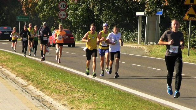 Trasa 44. Biegu Nadwiślańskiego imienia Alfreda Freyera prowadzi od Zespołu Zamkowo-Parkowego Baranowie Sandomierskim do Tarnobrzega. Na zdjęciu zawodnicy na tarnobrzeskiej Wisłostradzie podczas biegu w 2021 roku.