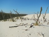 Wędrówka z Łeby na wędrujące piaski 