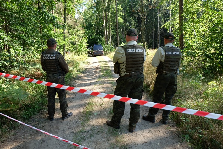 2017-08-31 hajnowka bialowieza protest aktywisktow wycinka...