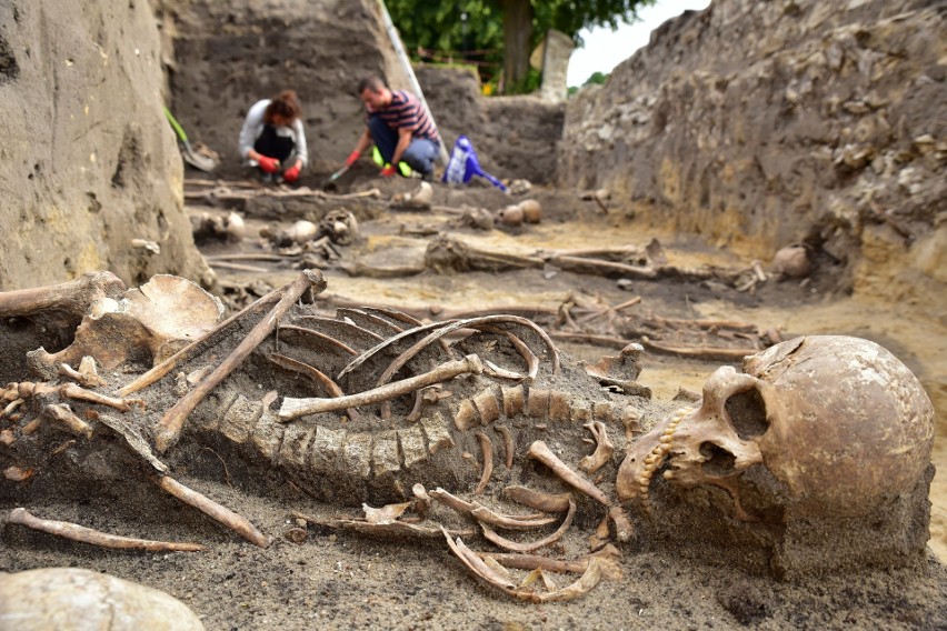 Świeciechów: Archeolodzy znaleźli szkielet dziewczynki. Prawdopodobnie jest to słynna Urszulka z "Trenów"