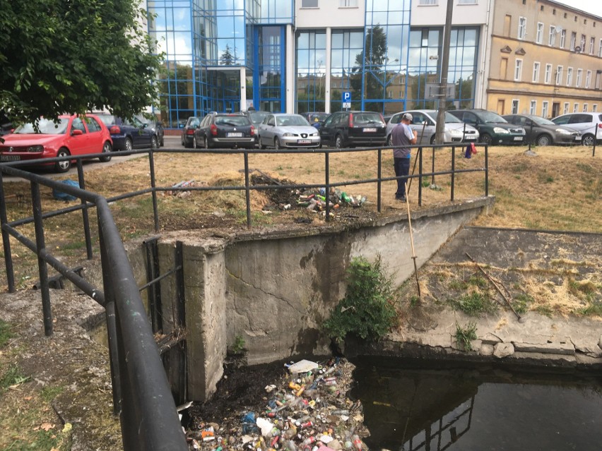 W czwartek rano rozpoczęto porządkowanie kanału na plantach...