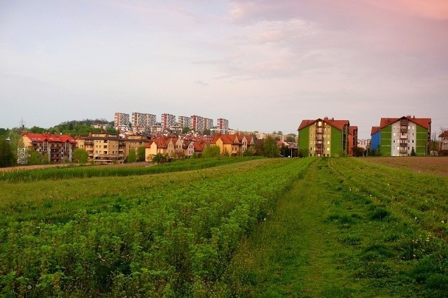 Cały teren, gdzie mógłby powstać park, należy do miasta