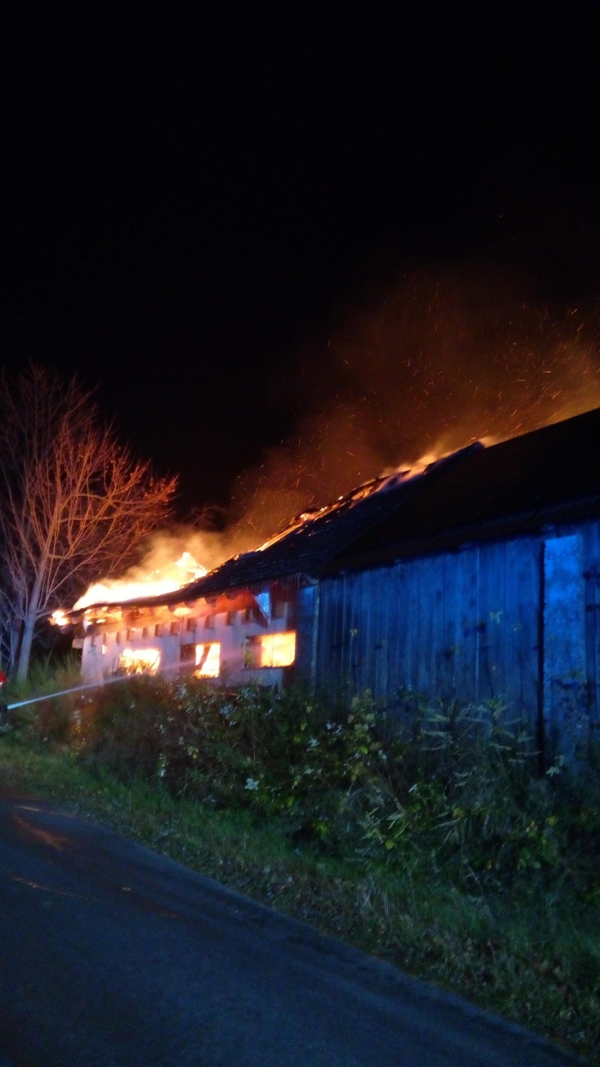 Podczas nocnego pożaru w gminie Bodzentyn